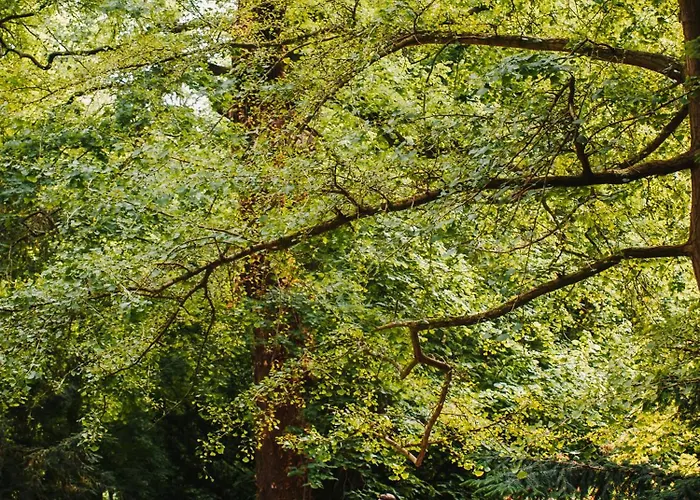 Lägenhetshotell Berill 3*